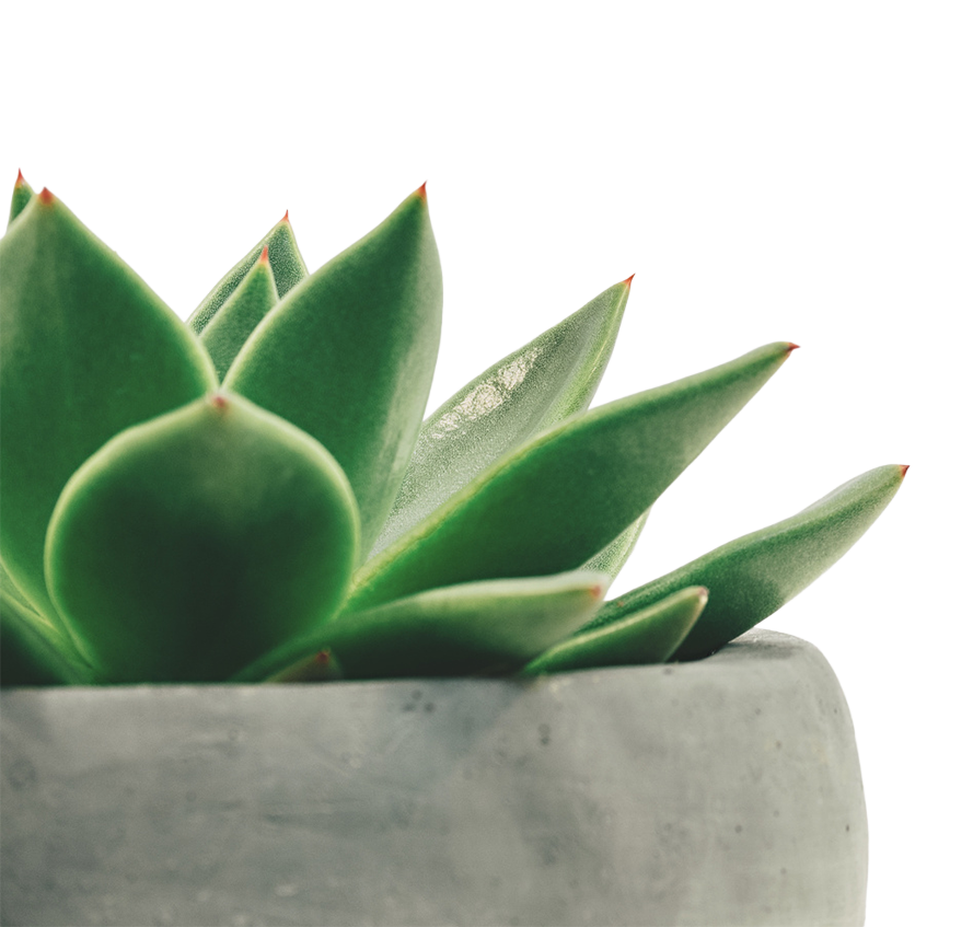 HartReach - Plant 2