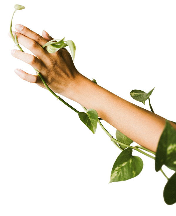 Hartreach - Reaching Hand Hartreach - Reaching Hand