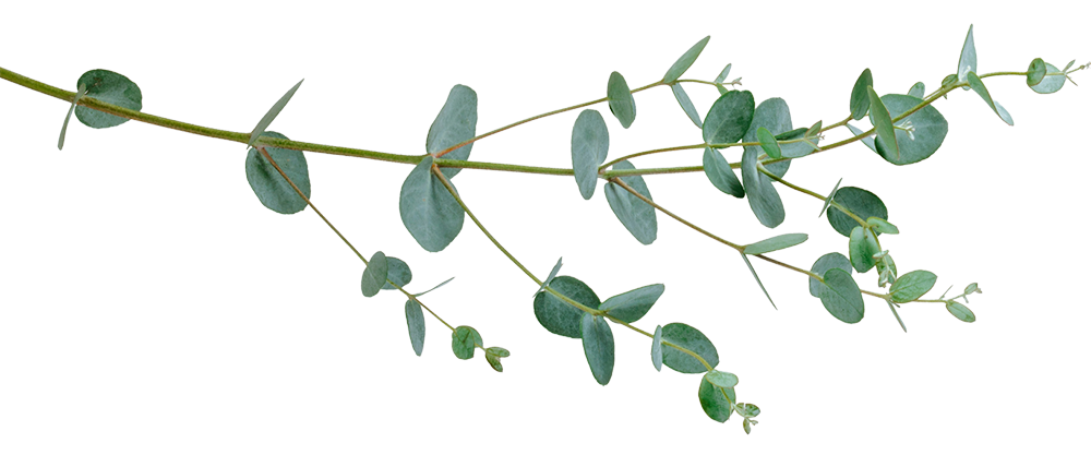 HartReach - Plant 4 - Hori Hartreach - Plant